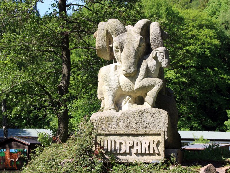 Wildpark Osterzgebirge zwischen Lauenstein und Geising 