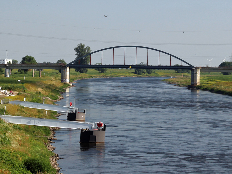 Entlang der Elbe wandern oder radfahren in Sachsen