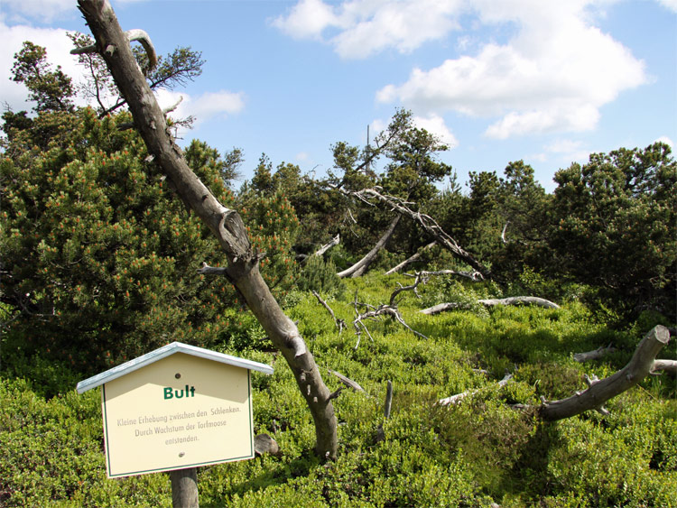 Ortsteil Zinnwald von Altenberg