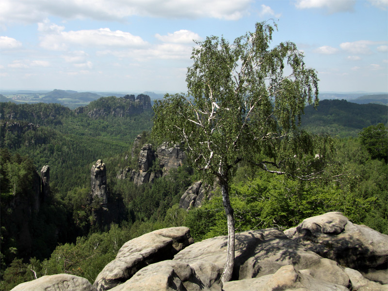 Zur Carolaaussicht wandern
