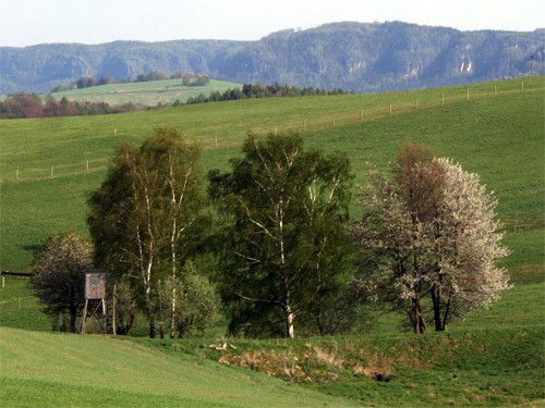 Hohnsteiner 6-Tälerland in der Sächsischen Schweiz