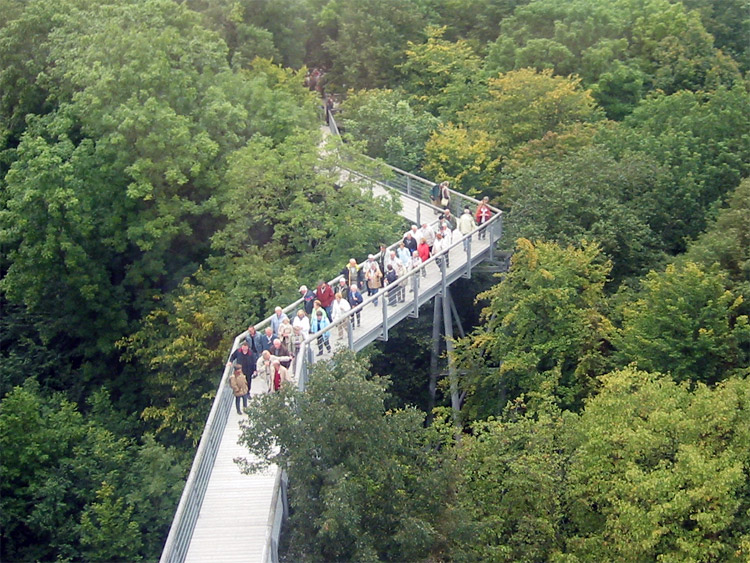 Baumkronenpfad im NP Hainich