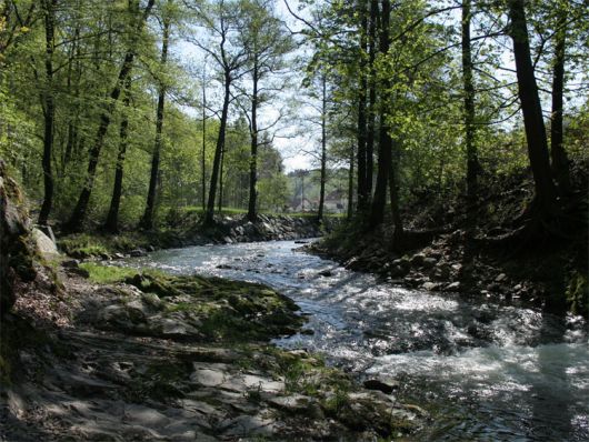 Müglitz im Osterzgebirge