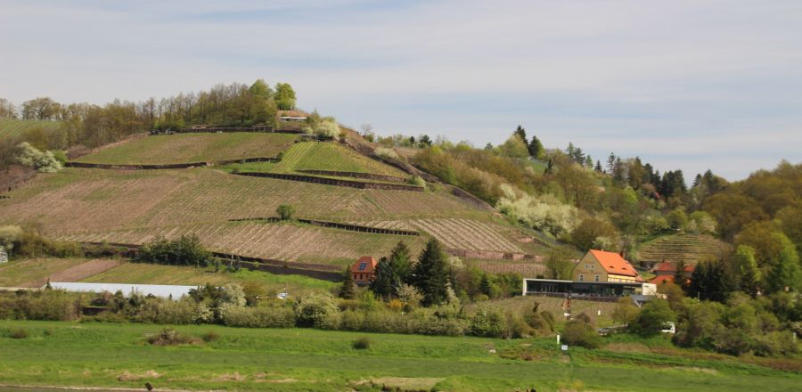 Urlaubsregion Sächsisches Elbland im Bundesland Sachsen