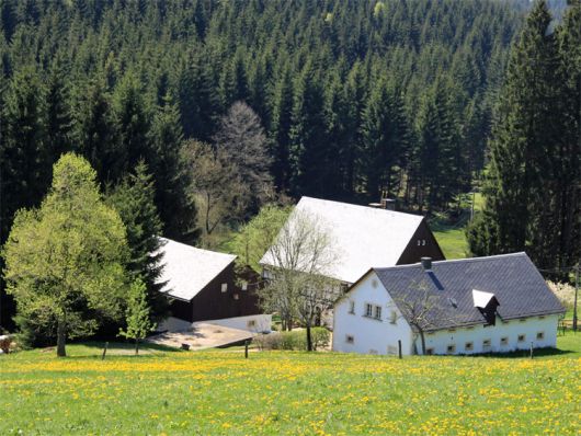 Gimmlitztal im Mittleren Erzgebirge